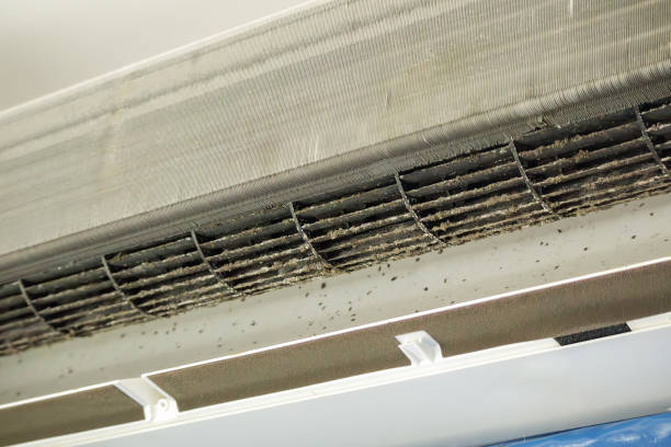 Best Local Air Duct Cleaning Services  in Beverly Hills, TX